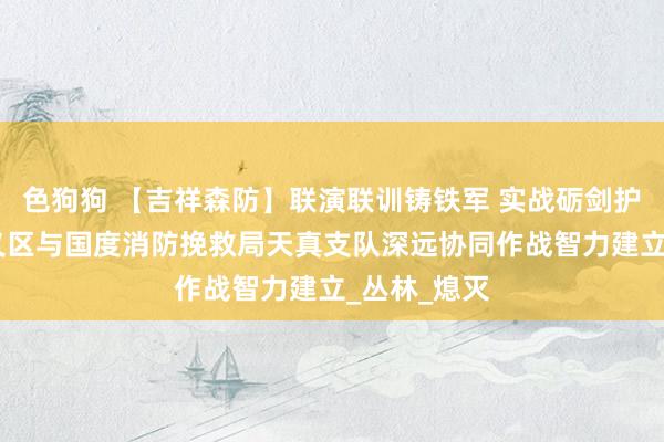 色狗狗 【吉祥森防】联演联训铸铁军 实战砺剑护青山——顺义区与国度消防挽救局天真支队深远协同作战智力建立_丛林_熄灭