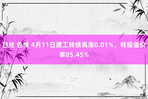 白丝 色情 4月11日建工转债高涨0.01%，转股溢价率85.45%