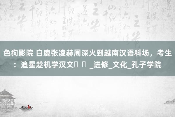 色狗影院 白鹿张凌赫周深火到越南汉语科场，考生：追星趁机学汉文​​_进修_文化_孔子学院