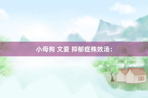 小母狗 文爱 抑郁症殊效汤：