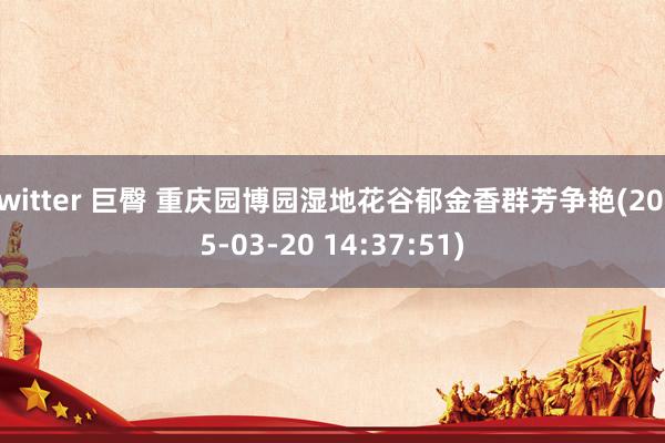 twitter 巨臀 重庆园博园湿地花谷郁金香群芳争艳(2025-03-20 14:37:51)