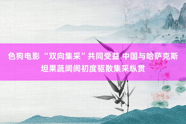 色狗电影 “双向集采”共同受益 中国与哈萨克斯坦果蔬阛阓初度驱散集采纵贯