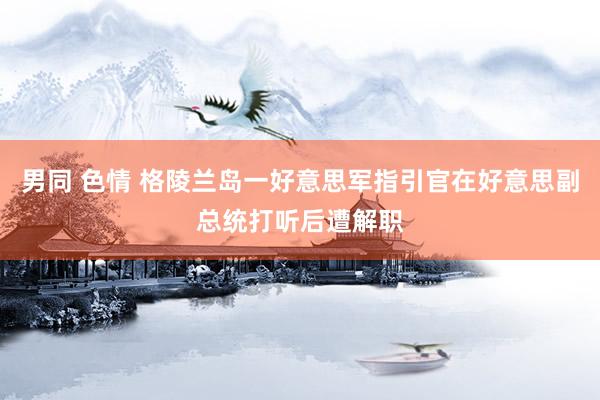 男同 色情 格陵兰岛一好意思军指引官在好意思副总统打听后遭解职