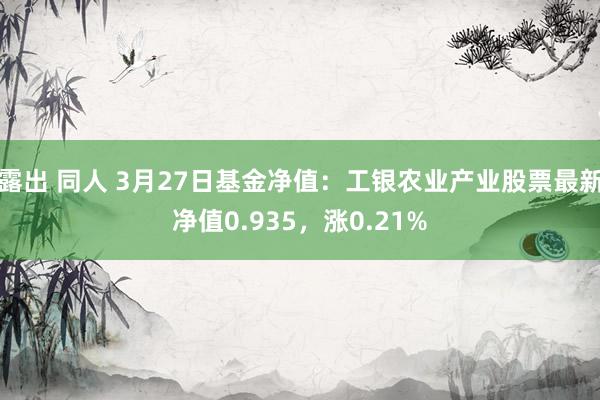 露出 同人 3月27日基金净值：工银农业产业股票最新净值0.935，涨0.21%