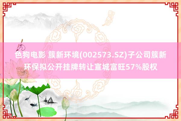 色狗电影 簇新环境(002573.SZ)子公司簇新环保拟公开挂牌转让宣城富旺57%股权