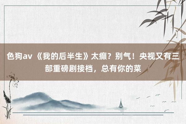 色狗av 《我的后半生》太癫？别气！央视又有三部重磅剧接档，总有你的菜