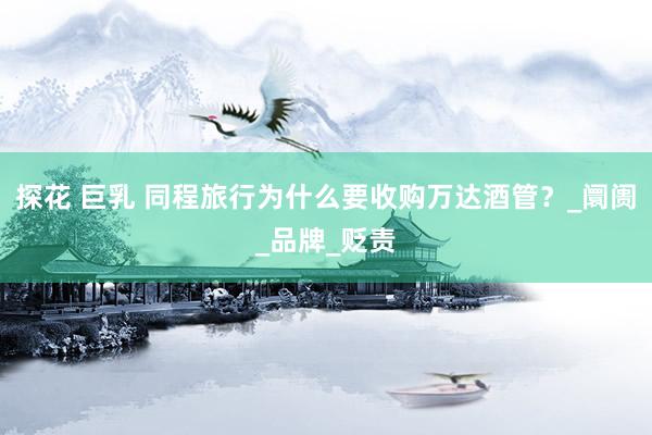 探花 巨乳 同程旅行为什么要收购万达酒管？_阛阓_品牌_贬责