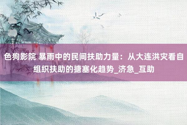 色狗影院 暴雨中的民间扶助力量：从大连洪灾看自组织扶助的搪塞化趋势_济急_互助