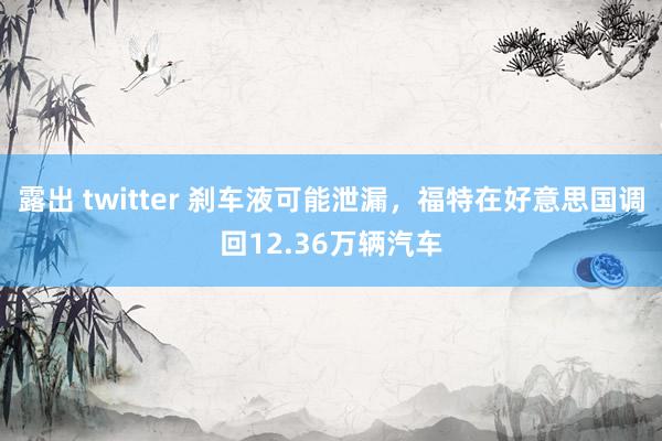 露出 twitter 刹车液可能泄漏，福特在好意思国调回12.36万辆汽车
