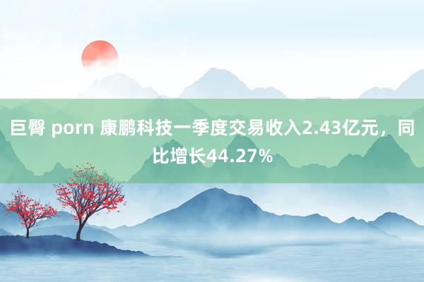 巨臀 porn 康鹏科技一季度交易收入2.43亿元，同比增长44.27%