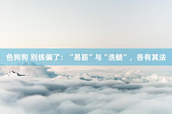 色狗狗 别练偏了：“易筋”与“洗髓”，各有其法