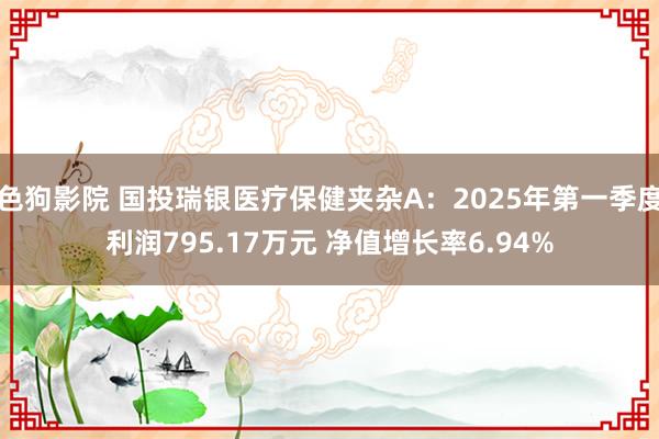 色狗影院 国投瑞银医疗保健夹杂A：2025年第一季度利润795.17万元 净值增长率6.94%