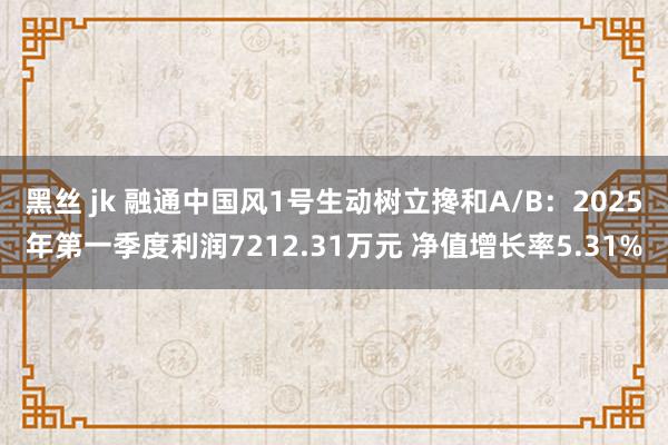 黑丝 jk 融通中国风1号生动树立搀和A/B：2025年第一季度利润7212.31万元 净值增长率5.31%