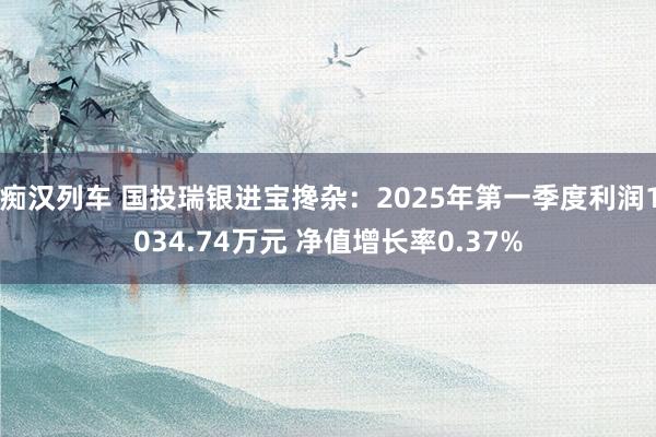 痴汉列车 国投瑞银进宝搀杂：2025年第一季度利润1034.74万元 净值增长率0.37%