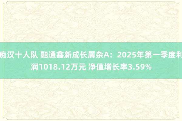 痴汉十人队 融通鑫新成长羼杂A：2025年第一季度利润1018.12万元 净值增长率3.59%