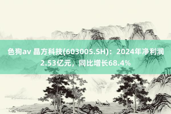 色狗av 晶方科技(603005.SH)：2024年净利润2.53亿元，同比增长68.4%