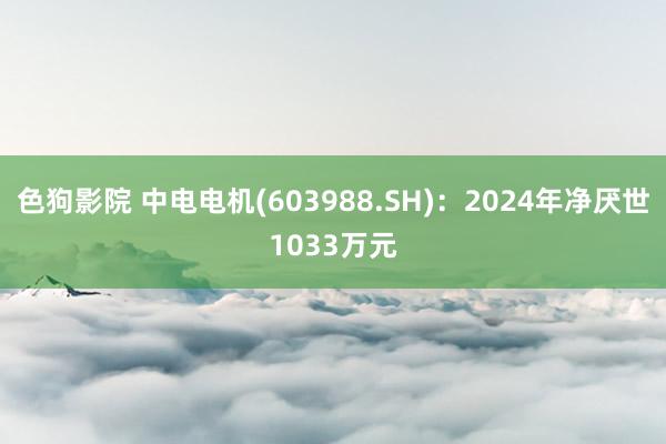 色狗影院 中电电机(603988.SH)：2024年净厌世1033万元