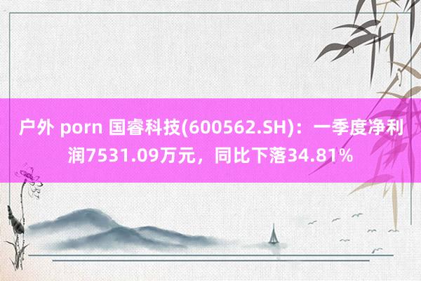 户外 porn 国睿科技(600562.SH):一季度净利润7531.09万元,同比下落34.81%