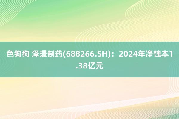 色狗狗 泽璟制药(688266.SH)：2024年净蚀本1.38亿元