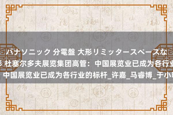 パナソニック 分電盤 大形リミッタースペースなし 露出・半埋込両用形 杜塞尔多夫展览集团高管：中国展览业已成为各行业的标杆_许嘉_马睿博_于小明