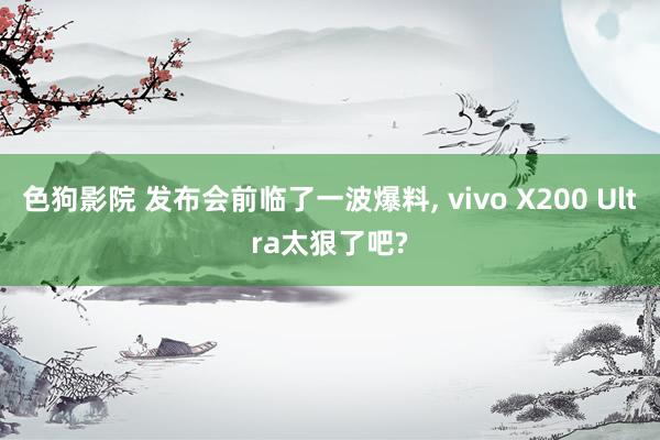 色狗影院 发布会前临了一波爆料， vivo X200 Ultra太狠了吧?