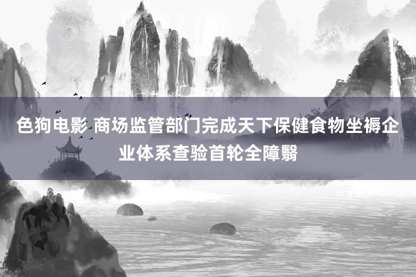 色狗电影 商场监管部门完成天下保健食物坐褥企业体系查验首轮全障翳