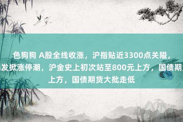 色狗狗 A股全线收涨，沪指贴近3300点关隘，黄金股大爆发掀涨停潮，沪金史上初次站至800元上方，国债期货大批走低