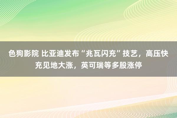 色狗影院 比亚迪发布“兆瓦闪充”技艺，高压快充见地大涨，英可瑞等多股涨停