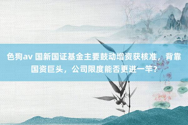 色狗av 国新国证基金主要鼓动增资获核准，背靠国资巨头，公司限度能否更进一竿？