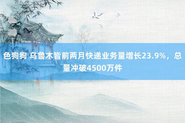 色狗狗 乌鲁木皆前两月快递业务量增长23.9%，总量冲破4500万件