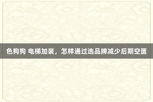 色狗狗 电梯加装，怎样通过选品牌减少后期空匮