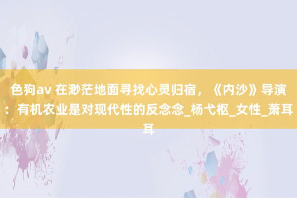 色狗av 在渺茫地面寻找心灵归宿，《内沙》导演：有机农业是对现代性的反念念_杨弋枢_女性_萧耳