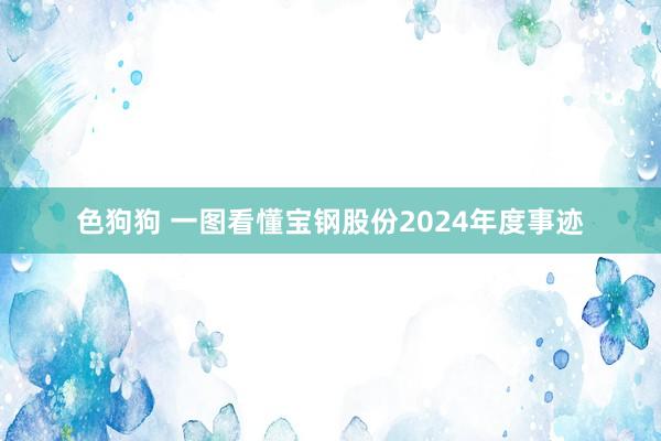色狗狗 一图看懂宝钢股份2024年度事迹