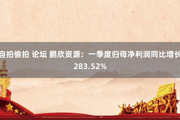 自拍偷拍 论坛 鹏欣资源：一季度归母净利润同比增长283.52%